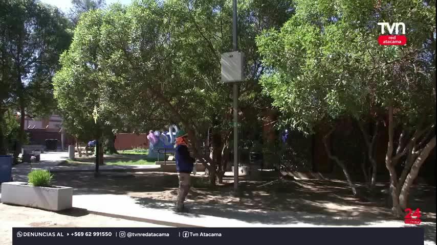 Copiapó: Parque El Pretil se alista para las fondas y ramadas