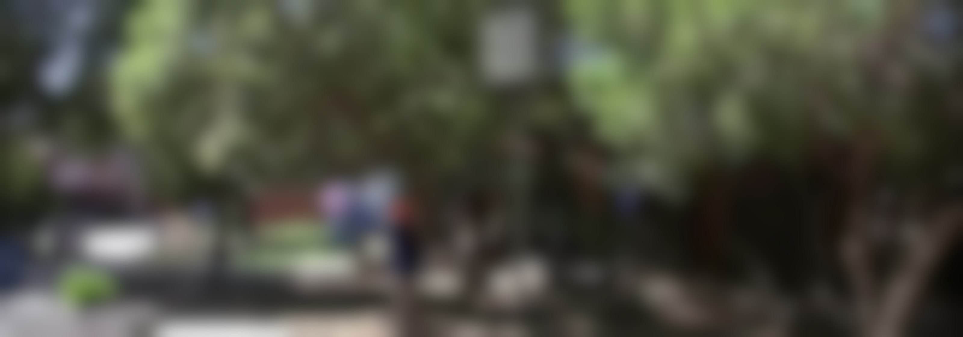 Copiapó: Parque El Pretil se alista para las fondas y ramadas