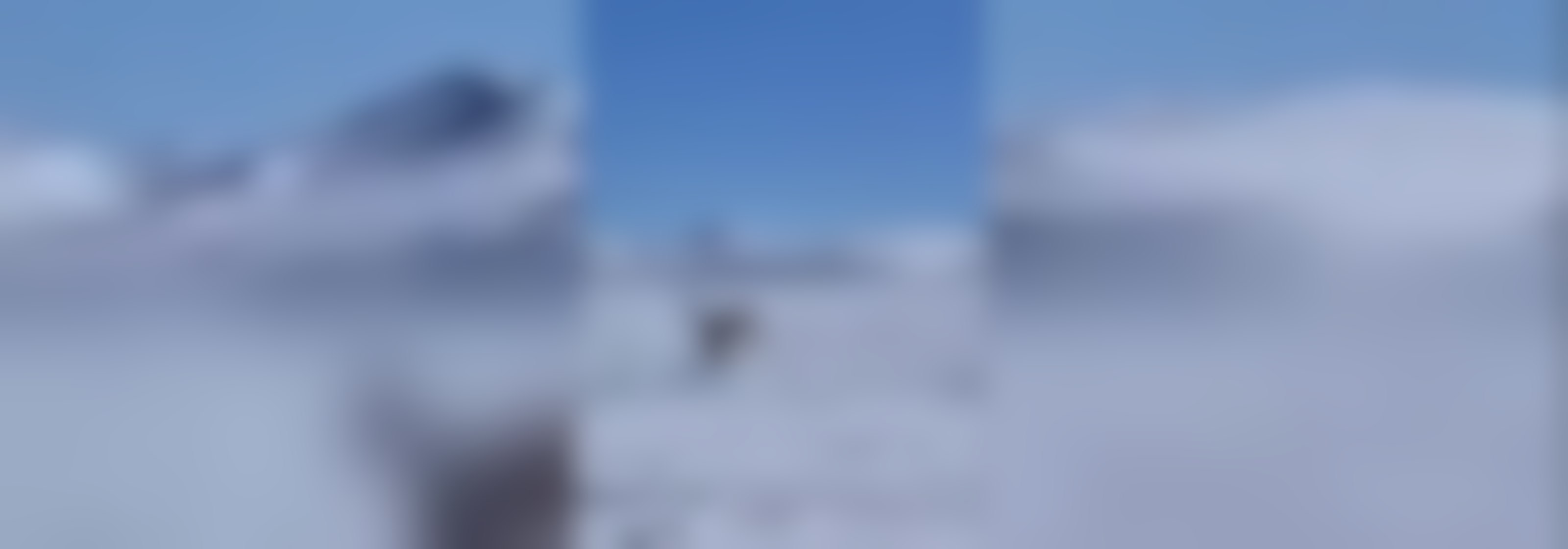 Impactante registro de ataque a guanaco en la cordillera de Atacama