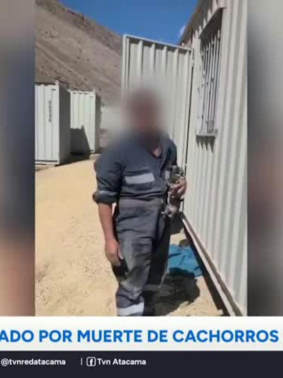 Condenan a sujeto por muerte de cachorros en T. Amarilla