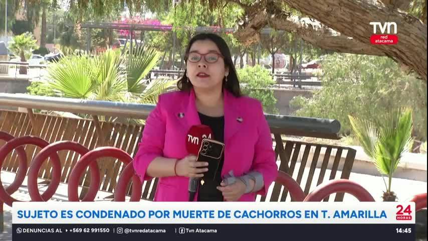 24 Horas al Día Red Atacama - 14 de Septiembre 2026