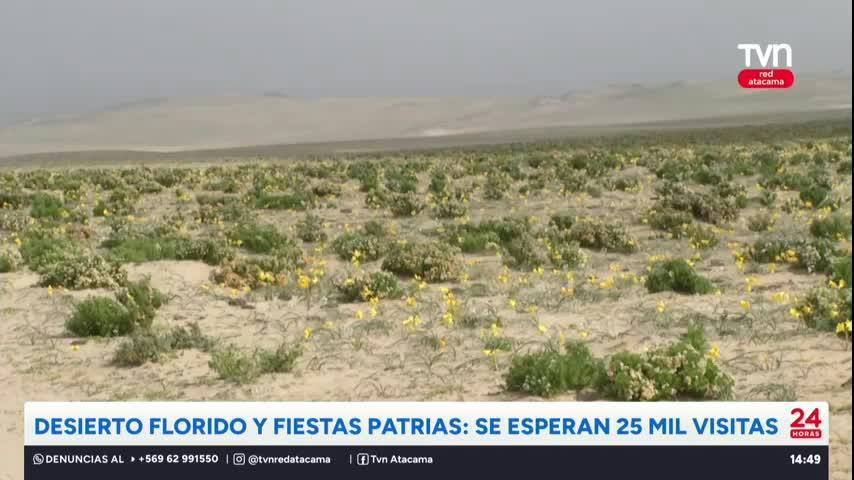 Atacama espera más de 25 mil visitas en fiestas patrias