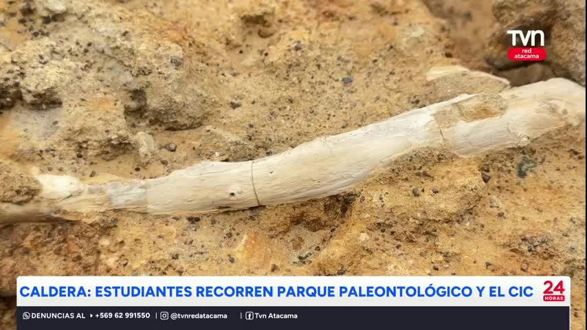 Caldera: estudiantes recorren parque paleontológico y el CIC