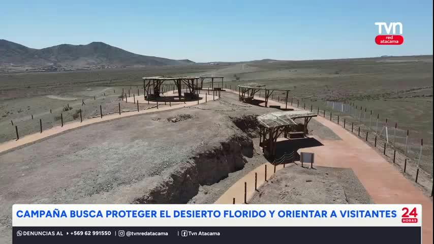 Campaña busca proteger el desierto florido