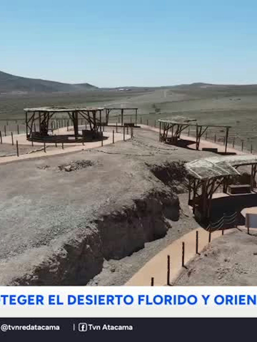 Campaña busca proteger el desierto florido