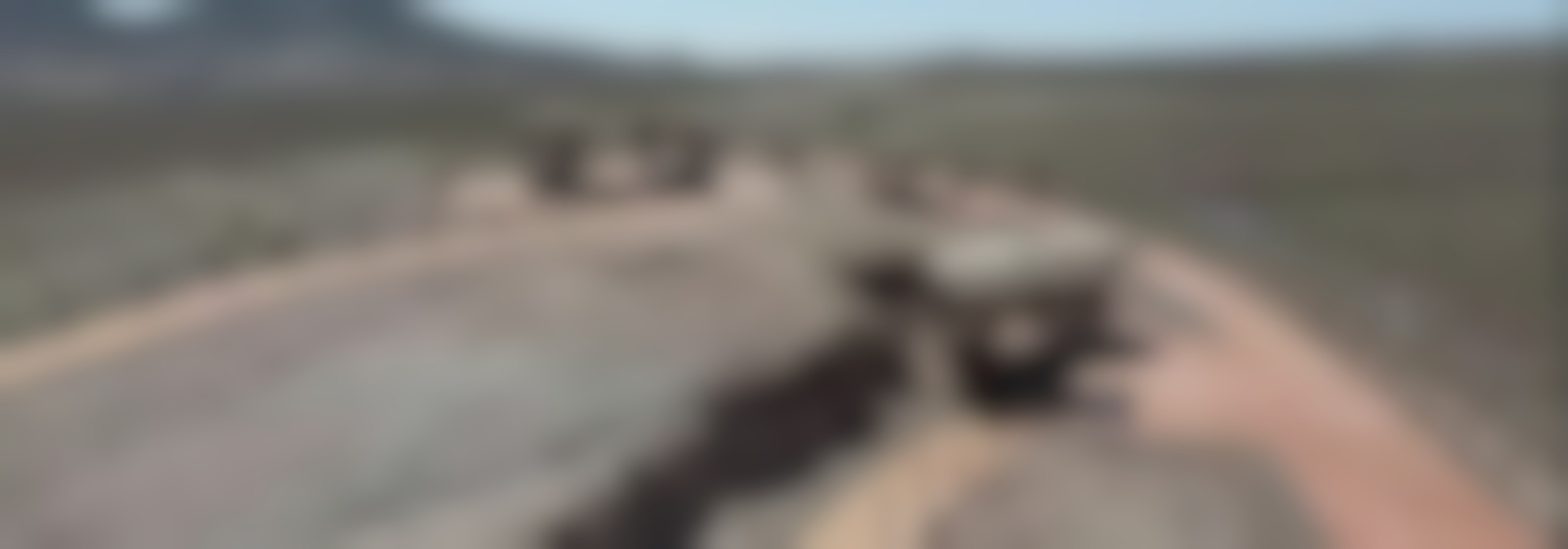 Campaña busca proteger el desierto florido