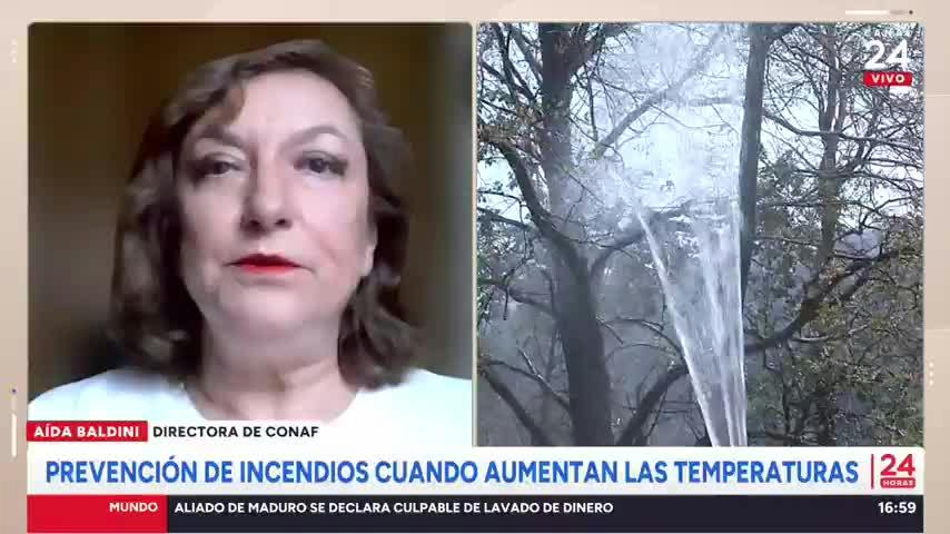Prevención de incendios forestales en fiestas patrias