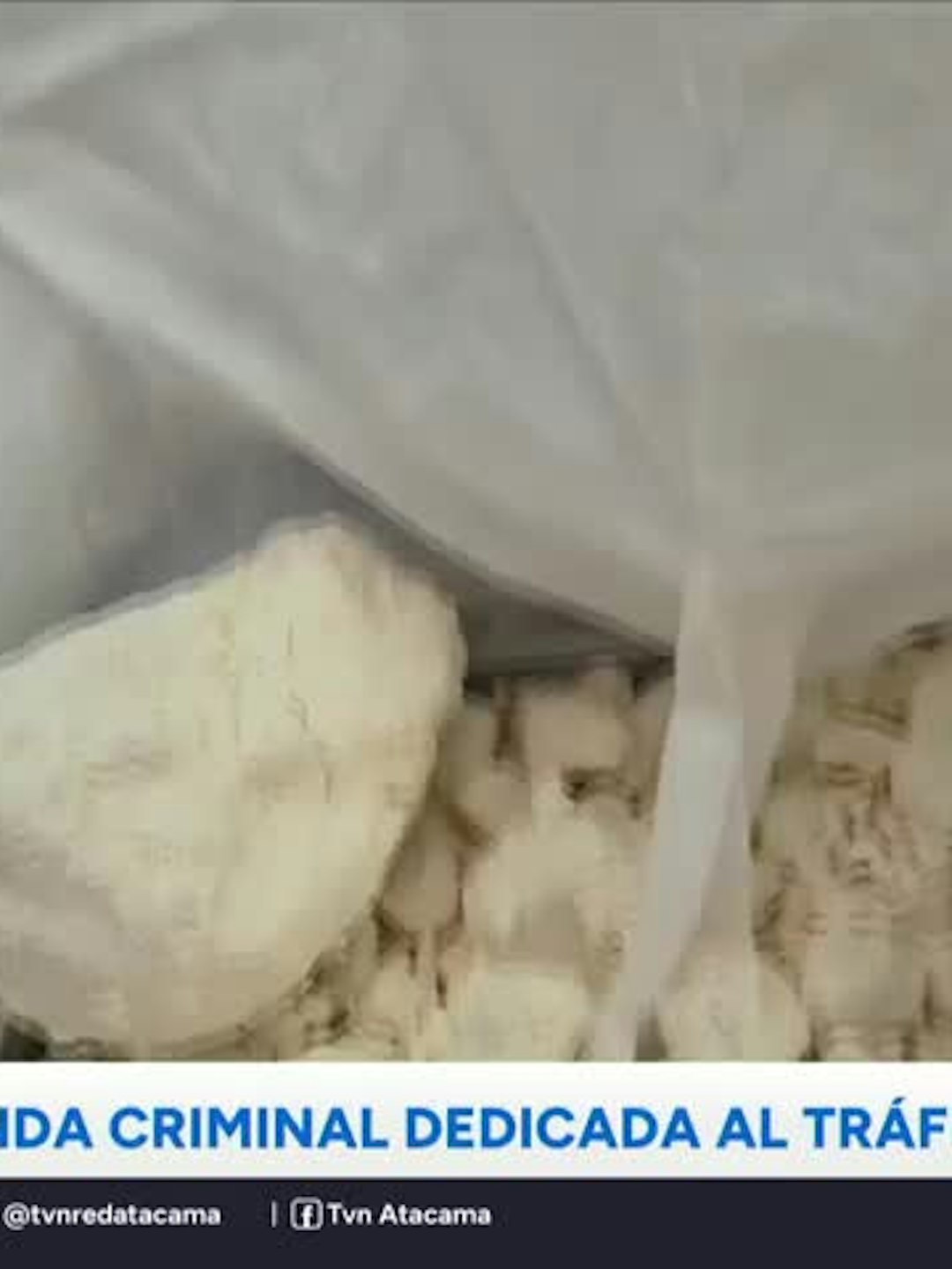 Copiapó: Desarticulan banda criminal dedicada al tráfico de drogas