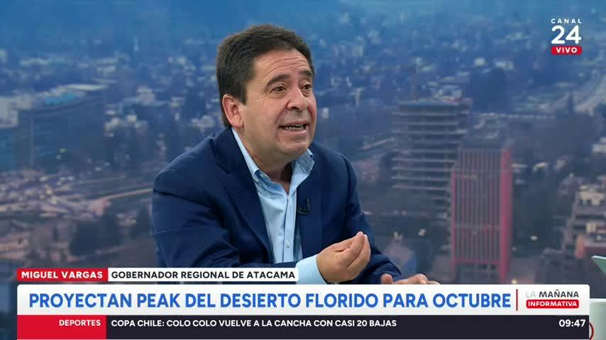 Gobernador de Atacama y Desierto Florido: "No queremos una invasión que implique destrozos"