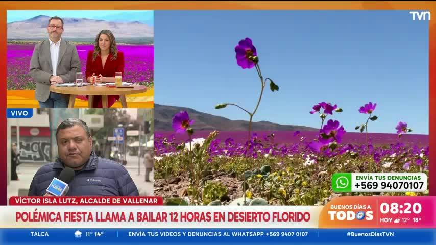 Polémica convocatoria: buscan realizar una fiesta en pleno desierto florido de Atacama