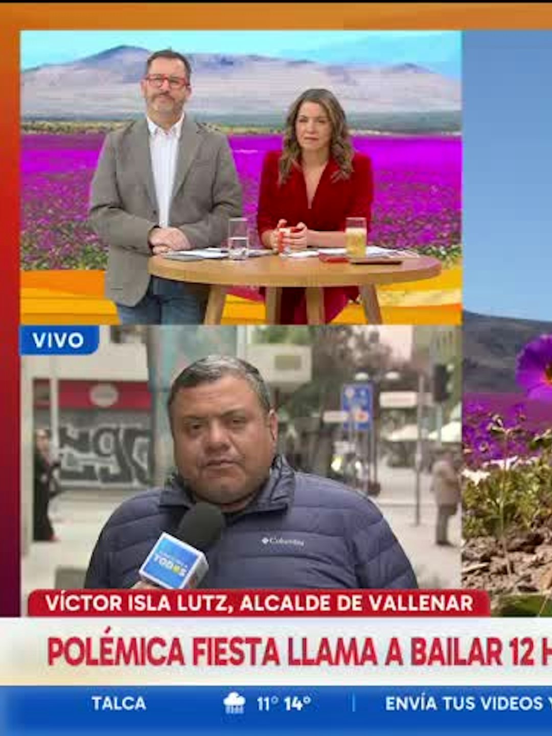 Polémica convocatoria: buscan realizar una fiesta en pleno desierto florido de Atacama