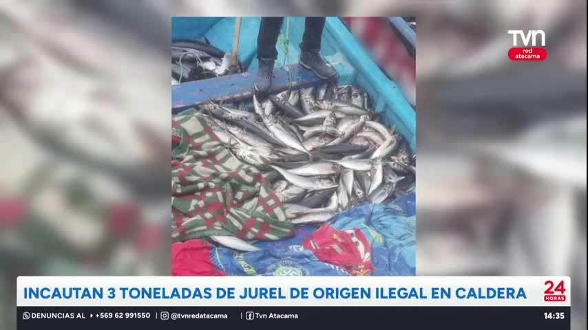 Incautan 3 toneladas de jurel de origen ilegal en Caldera
