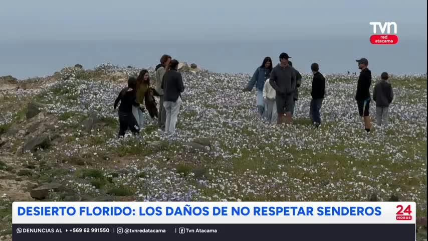 Advierten el impacto de no respetar senderos en el Desierto Florido