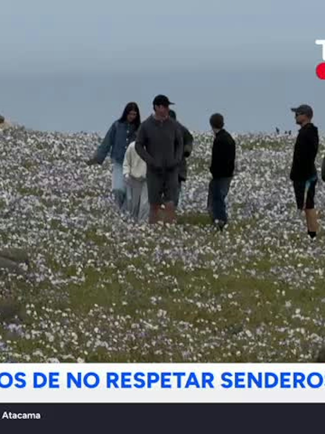 Advierten el impacto de no respetar senderos en el Desierto Florido