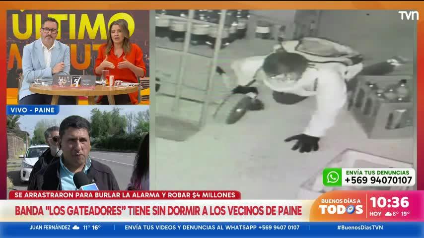 Banda "Los gateadores" roban locales en Paine