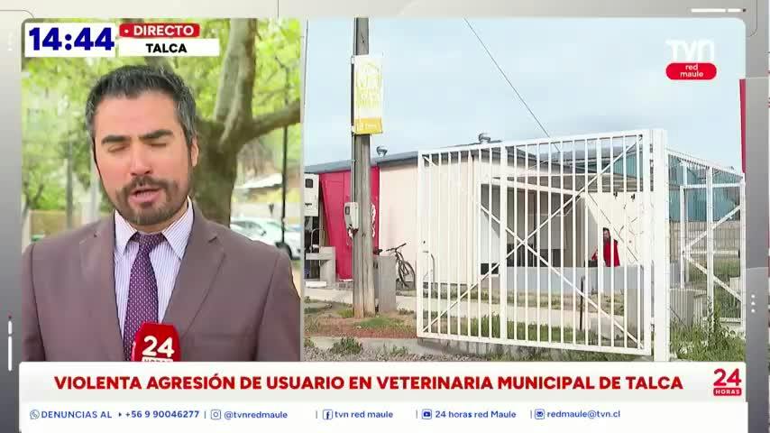 Registran violenta agresión de usuario a Veterinaria Municipal de Talca