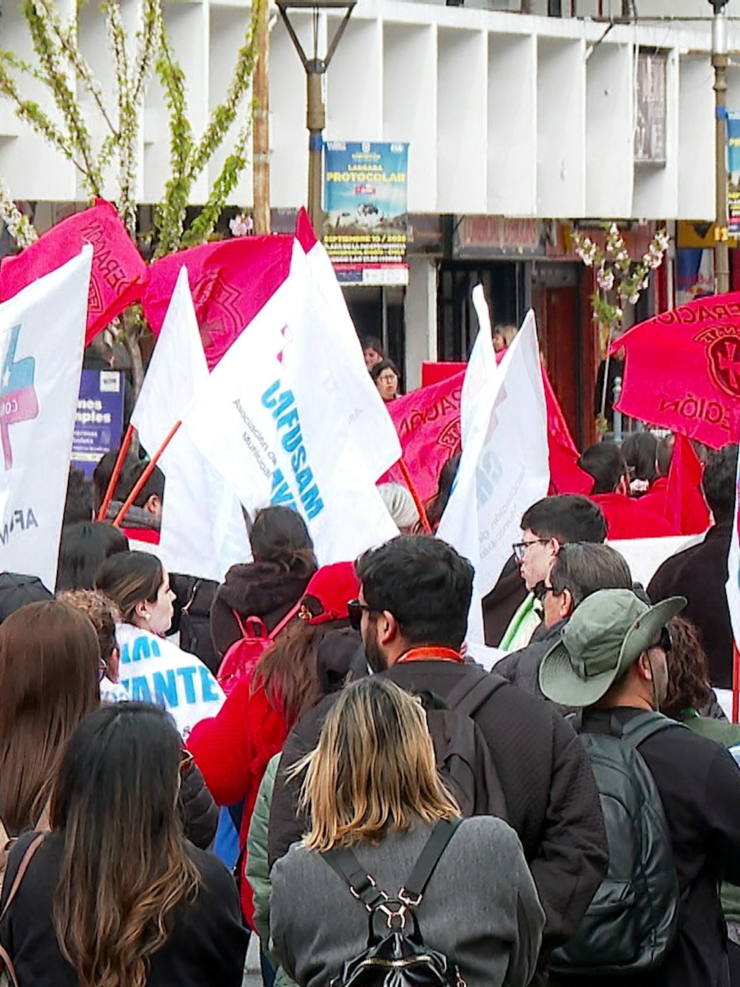 Marcha de la Confusam en Concepción