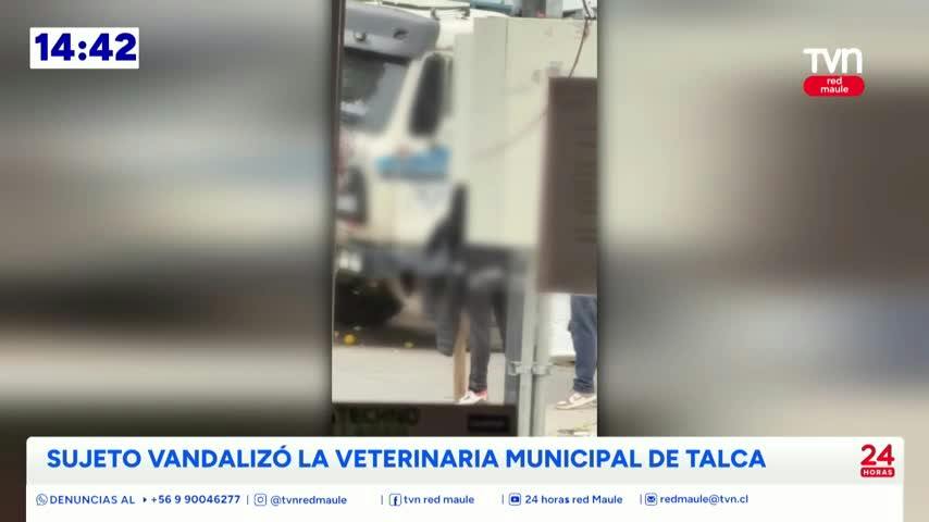 Alcalde presentó denuncia por daños a veterinaria municipal de Talca
