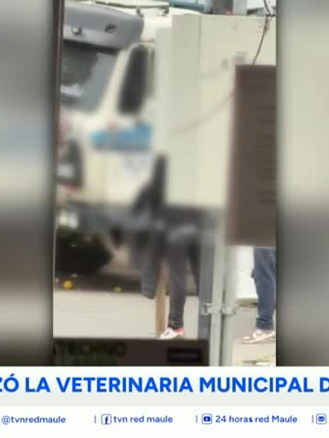 Alcalde presentó denuncia por daños a veterinaria municipal de Talca