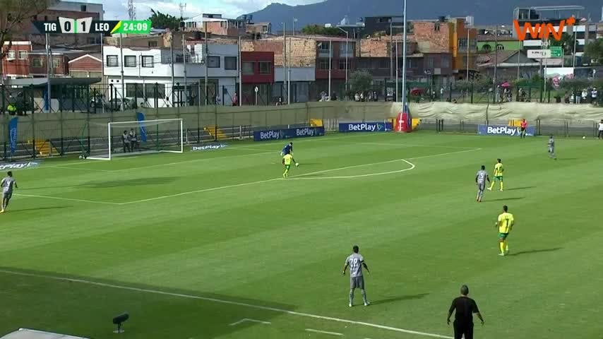  Torneo BetPlay Dimayor 2024 - II: Tigres vs. Leones 