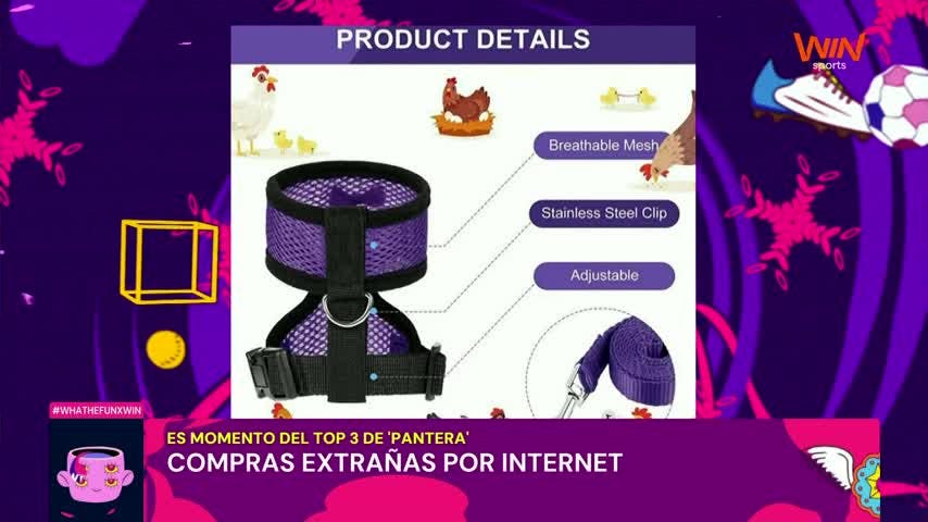 What The Fun - 29 de Noviembre de 2024