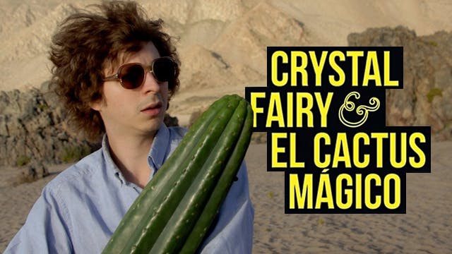 Crystal Fairy y el cactus mágico
