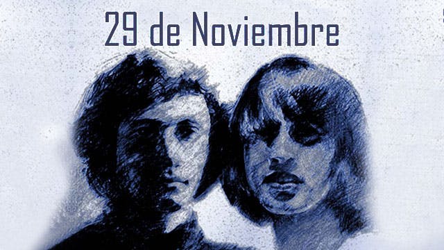 29 de noviembre