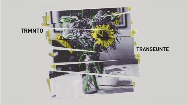 TRMNTO y Los Alfabetos, Transeunte