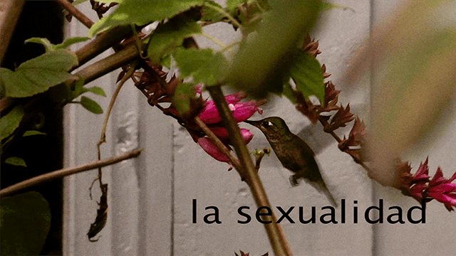 La sexualidad