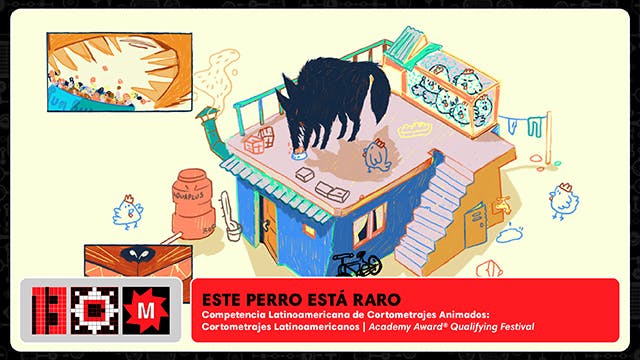 ESTE PERRO ESTÁ RARO