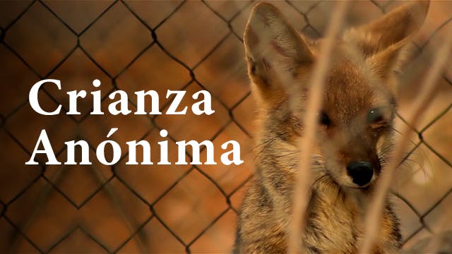 Crianza anónima