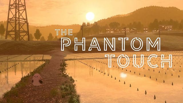 The phantom touch