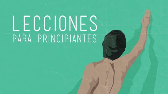 6 Lecciones para principiantes