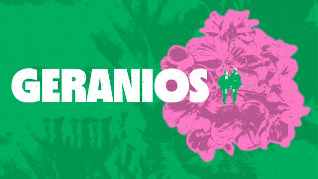 Geranios