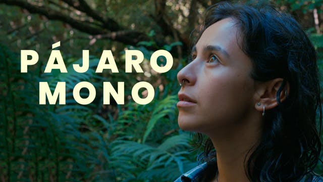 Pájaro Mono
