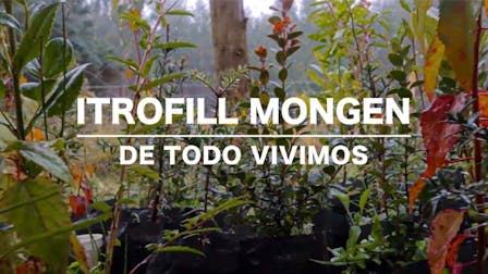 Itrofill Mongen (De todo vivimos)