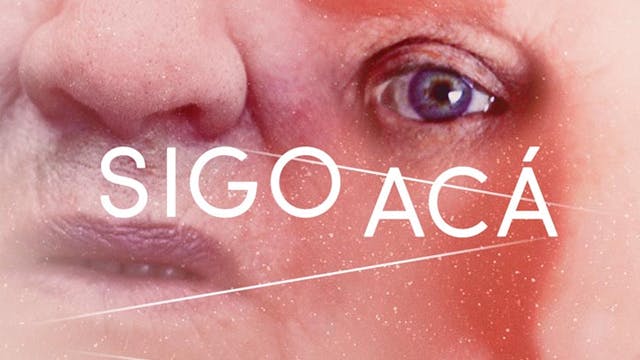 Sigo acá