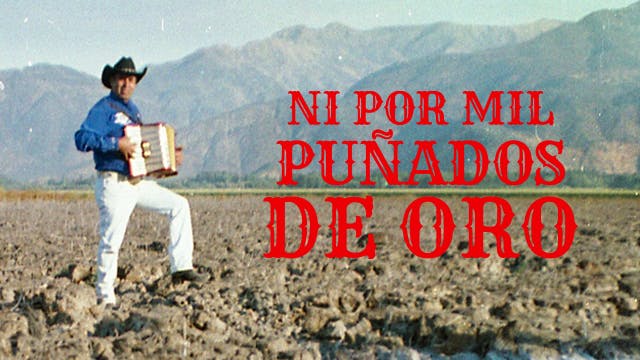 Ni por mil puñados de oro