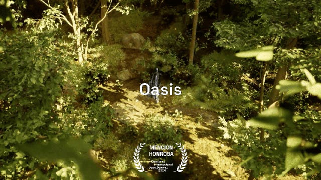 Oasis - Pablo Maximiliano Ochoa Concha (CL)
