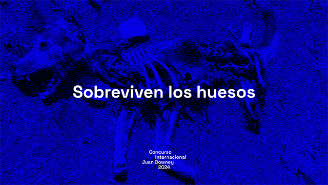 Sobreviven los huesos - Gonzalo Aguirre Zaldívar (CL)