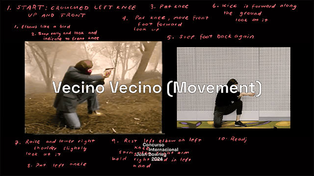 Vecino Vecino (Movement) - Camila Galaz (CL - AUS)