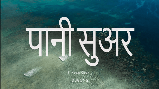 Paani Suar