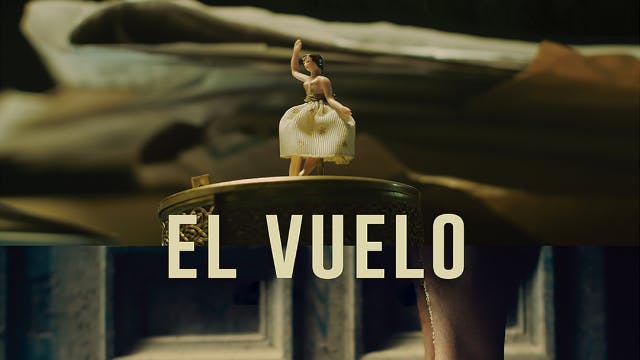 El vuelo • Cristian Marambio Guzmán