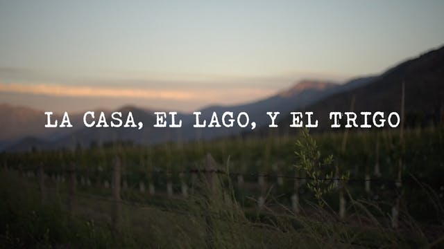 La casa, el lago, y el trigo