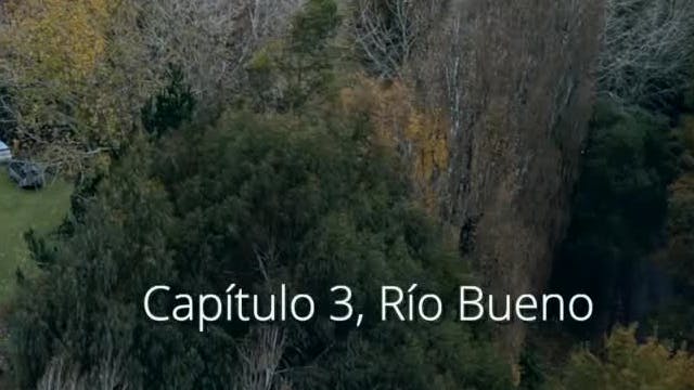 Capítulo 3: Río Bueno