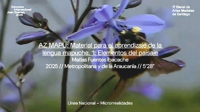 AZ MAPU: Material para el aprendizaje de la lengua mapuche.1: Elementos del paisaje