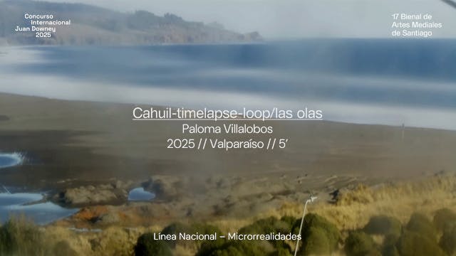 Cahuil-timelapse-loop/las olas