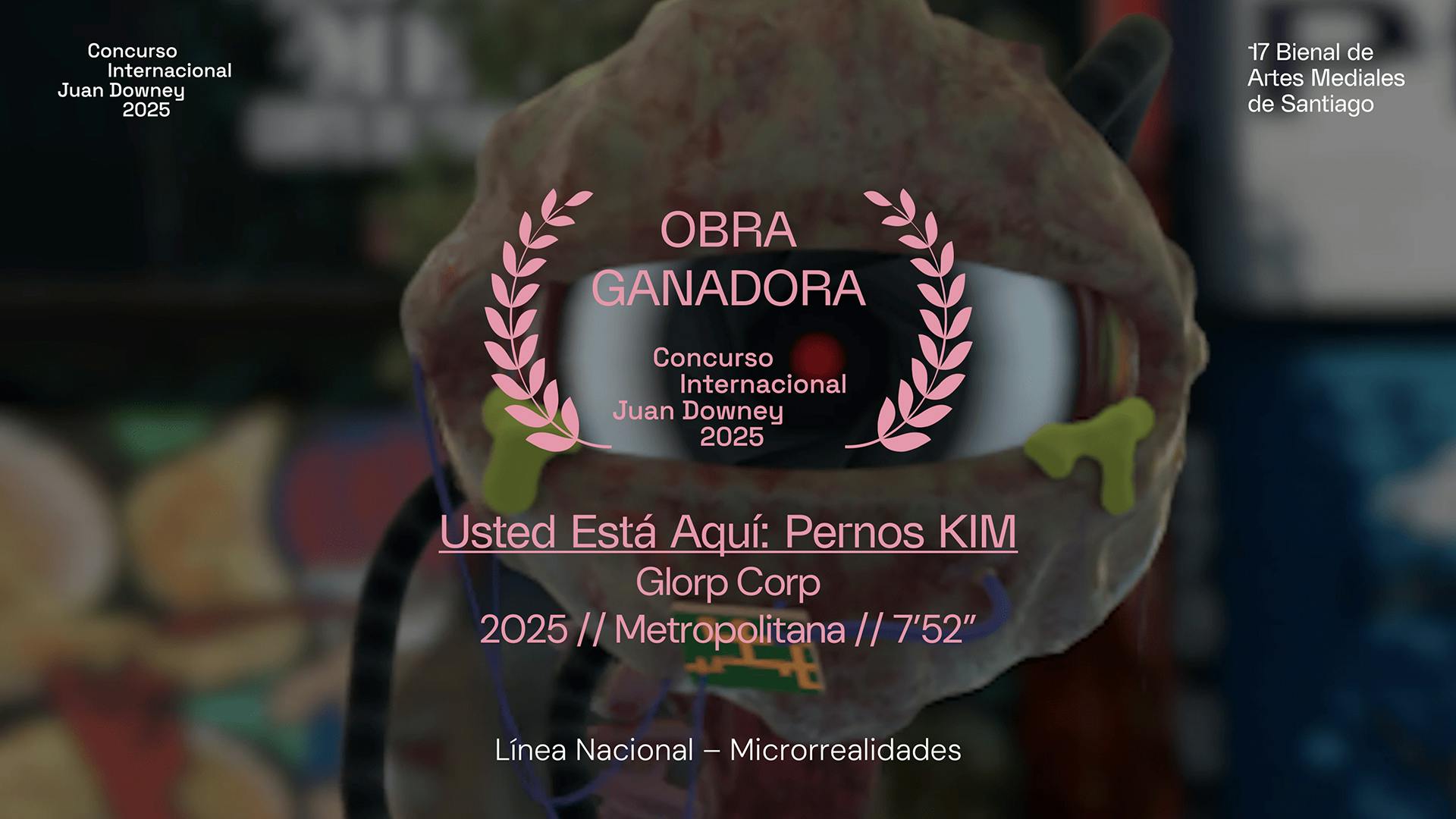 Usted Está Aquí: Pernos KIM