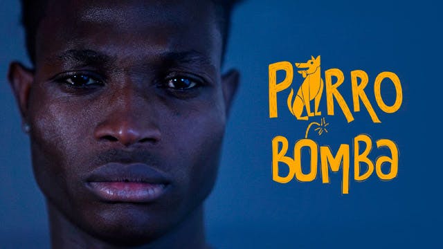 Perro Bomba