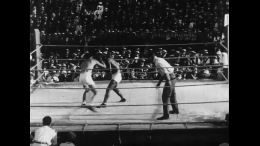 Campeonato Sudamericano de Box Vicentini Vs Fernández